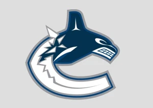 Vancouver Canucks Various Jerseys, Rookies, Signed U Pick $.99 Cents and Up - Picture 1 of 83