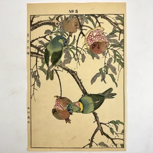 Japanese Woodblock Print “Blue-crowned Hanging Parrot” from “Keinen Kacho Gafu” - Picture 1 of 14
