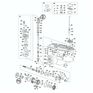 Piede Completo Motore 200ho>300 Evinrude bianco E-TEC G1 BRP - 1 PZ - 5009259 - Imagen 1 de 1