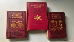 3 Wayside and Woodland Books - BLOSSOMS WILD FLOWERS - Picture 1 of 8
