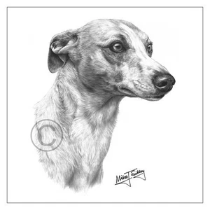 biglietto auguri razza cane Mike Sibley Whippet nuovo buon compleanno grazie mamma papà - Foto 1 di 3