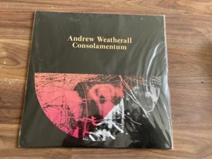 Andrew Weatherall -Consolamentum (2x12" ) Sealed. - Imagen 1 de 4