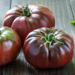 35 Samen - Russische Schwarze Tomate - alt - Bauernsamen - BIO - Bild 1 von 1