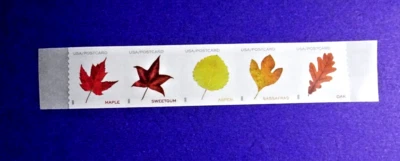 US 5971-5975 VIBRANT LEAVES ND POSTCARD (F) RATE COIL STRIP OF 5 EXCESS BACKING* - Image 1 of 2