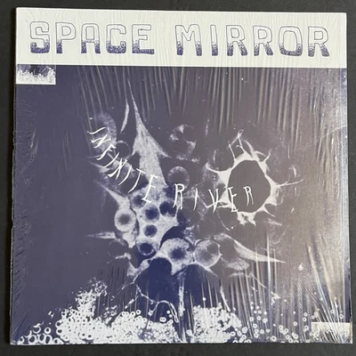 Infinite River~Space Mirror~Warren Defever~His Name Is Alive~NM Vinyl~Psych Rock - Image 1 of 2