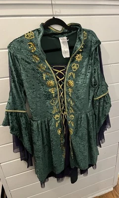Women’s Disney Spirit Halloween Adult Winifred Sanderson Dress Hocus Pocus XL - Image 1 of 4