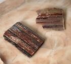 Unusual Old Stock Striped Petrified Wood Cut pcs Grandpa?s Collection 1960?s