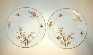 Juego de 2 platos de cena NORITAKE china Brenda 3064 borde dorado floral de 10" excelente en excelente estado - Imagen 1 de 7