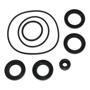 Suzuki DF300 Seal Kit Lower Gearcase  Sierra 18-8386 25700-98J00 - Picture 1 of 8