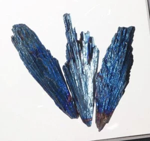 Dichroitische 3 Stück Kyanit Aura Kristall Probe mit 3-D Membran Display Lot JU6 - Bild 1 von 12