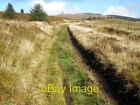 Photo 6x4 Rough track Rosebush Climbs steadily alongside a patch of felle c2008