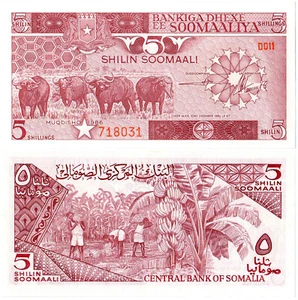 Somalia 5 Shilin Soomaali P#31b (1986) Bankiga Dhexe ee Soomaaliya UNC - Picture 1 of 1