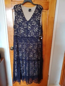 MASON TARA V-NECK DRESS BLUE LACE ON BEIGE LINING EVENING Maxi SIZE 20W NWT - Picture 1 of 6