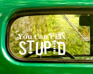 2 YOU CAN'T FIX STUPID DECAL Stickers For Car Window Bumper Laptop Truck  - Picture 1 of 1