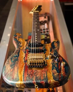 NEW JAMES TYLER STUDIO ELITE HD HAZMAT SHMEAR CUSTOM GUITAR WITH FLOYD ROSE USA - Picture 1 of 14