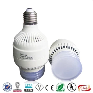 30W 2700lm 6000K E26 with E39 Mogul adapter UL - Picture 1 of 2