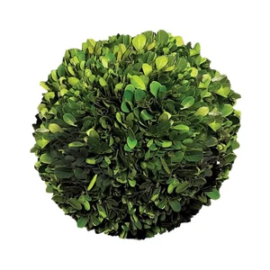 Preserved Boxwood Ball, Genuine Green Leaves & Simple Care, Use as Vase Fille... - Picture 1 of 8