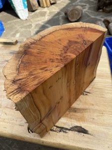 Large Yew Wood Bowl Blank For Wood Turning Live Edge Wonderful Grain Ref:Y1 - Picture 1 of 14