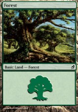 Forest 299 Lorwyn Light Play MTG Magic DNA GAMES