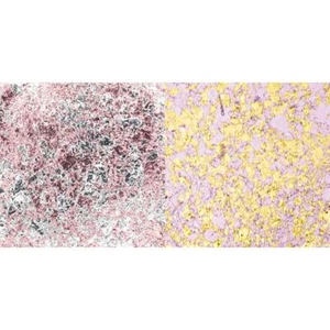 Creative Expressions Cosmic Shimmer Aurora Flake 2-pack YOU PICK - Picture 1 of 23