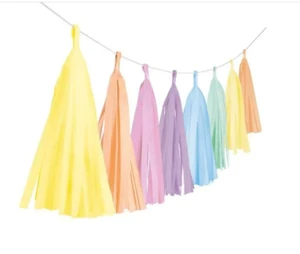 Gay Pride 3 Metre Pastel Rainbow Paper Tassel Garland Celebration Decoration New - Picture 1 of 1