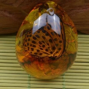 Amber Variety with Inclusion Butterfly (Polybern) 140 Million BC - Picture 1 of 21