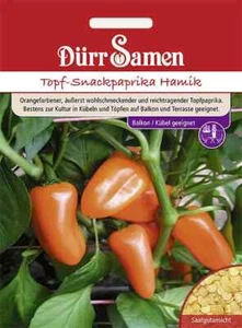 Topf-Snackpaprika Hamik Samen von Dürr Samen ca 10 Korn Paprika - Bild 1 von 1
