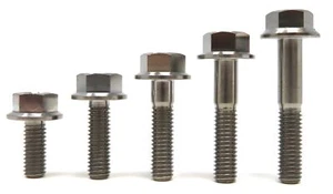 M6 Chiusura bullone testa esagonale titanio (10,15,20,25,30,35,40,45,50,55,60 mm) - Foto 1 di 7