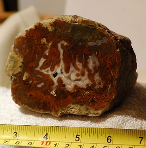 Agua Nueva Agate Display Piece Lapidary ~1 lb. Polished Face - Picture 1 of 5