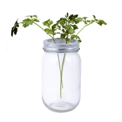 Vase Glasvase Gitterdeckel mit Metall Blumenarrangierdeckel Blumenvase - Bild 1 von 2