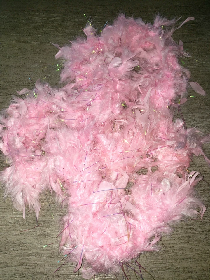 mujer niña ROSA BRILLANTE PLUMA BOA HALLOWEEN FINGIR JUGAR ROPA DIVERTIDA NUEVO SIN ETIQUETAS Foto 1 de 1