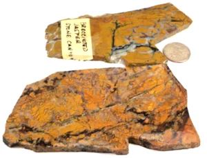 2 Large Stone Canyon Brecciated Jasper Total 9.4 Oz. Free Ship 1st Pic Wet #3457 - Picture 1 of 4