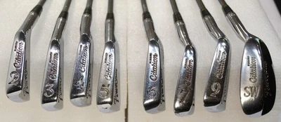 Juego de palos de golf PowerBilt forjados vintage diestro acero inoxidable 2-7, 9 y PW Foto 1 de 4