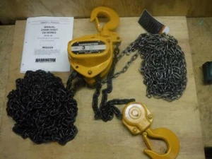 Nuovo paranco a catena Harrington CB030-SC-20 capacità 6.000 libbre sollevamento 20 piedi SPEDIZIONE VELOCE - Foto 1 di 1