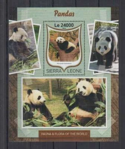 D647. Sierra Leone - MNH - 2016 - Fauna - Wildtiere - Pandas - Bl - Bild 1 von 1