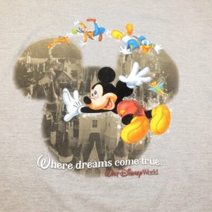 DISNEY WORLD MICKEY MOUSE DREAMS COME TRUE T SHIRT Mens L Velvet Ears - Picture 1 of 3