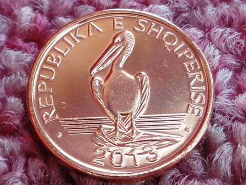 Albania 1 Lek 2013 Dalmatian Pelican Bird Uncirculated from Mint Magnetic Variet Cover