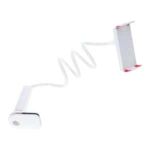 Gooseneck Tablet Holder Stand for Bed Adjustable Flexible Arm Tablets Mount - Picture 1 of 26