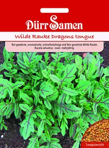 Wilde Rauke Dragons tongue Samen von Dürr Samen ca 750 Korn Raukensamen - Bild 1 von 1