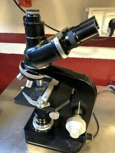 Microscopio Tri Ocular Nikon Serie S Número 71275