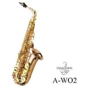 Yanagisawa / A-WO2 Alto Saxophone Double O Series Bronze Brass Lacquer Finish - Picture 1 of 2