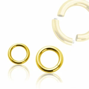 Piercing Gold Segmentring Ring Clicker Septum Helix Tragus Segment Nase Lippe - Bild 1 von 5