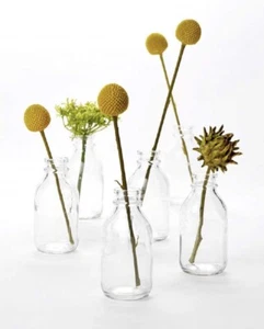 Set 6 Bud Vases Glass Set Clear Small Serene Spaces Living Vase Home Decor NEW - Picture 1 of 9