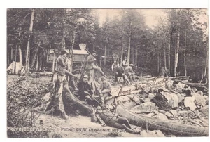 Picnic On The St Lawrence River, Quebec Vintage 1906  Postcard - Picture 1 of 2