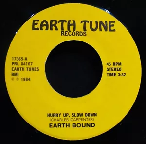 EARTH BOUND~Hurry Up Slow Down ✦ Obscure New Wave Rock 45~EARTH TUNE #17365 - Imagen 1 de 2