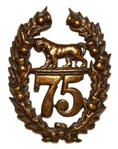 BRITISH MILITARY CAP BADGES, The 75th Stirlingshire Regiment of Foot, 1874-1881 - Imagen 1 de 2