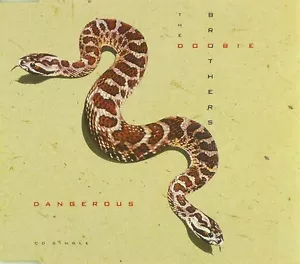 Maxi CD - The Doobie Brothers - Dangerous - #A2244 - RAR - Bild 1 von 1