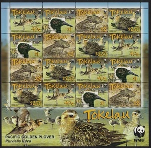 Tokelau Birds WWF Pacific Golden Ploretlet de 4 juegos 2007 MNH - Imagen 1 de 1