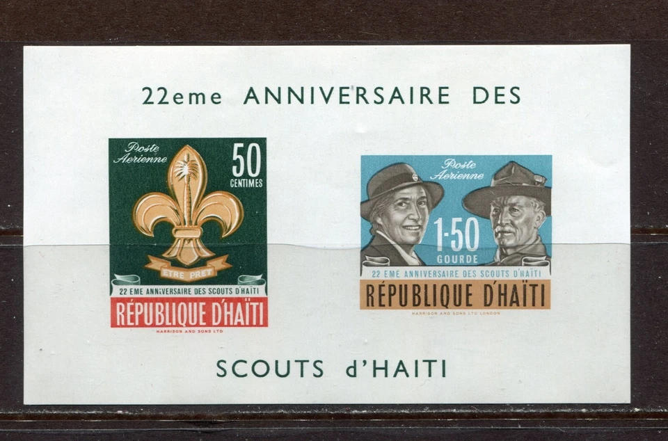 HAITI 1962, BOY SCOUTS, Scott C195 FOOTNOTE, S/S, MNH - Image 1 of 1