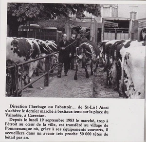 1984 -- DERNIER MARCHE AU BESTIAUX PL DE VALNOBLE A CARENTAN 3J357 - Picture 1 of 1